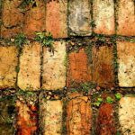 Analyzing the Resale Value of Electric Vehicles: 11xplay reddy login id and password, Laser247. Com cricket, Sky live casino