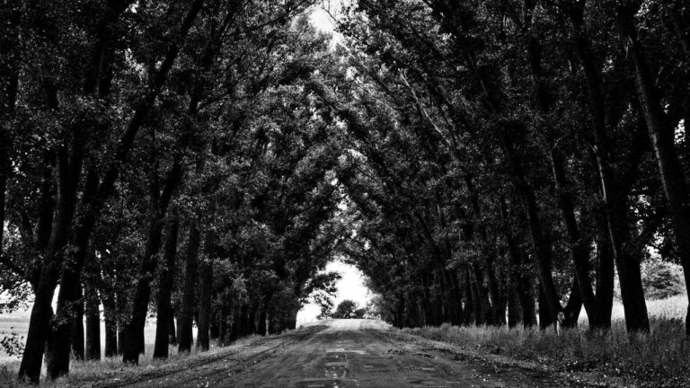 How To Fix App Crashing Issues In 11Xplay?